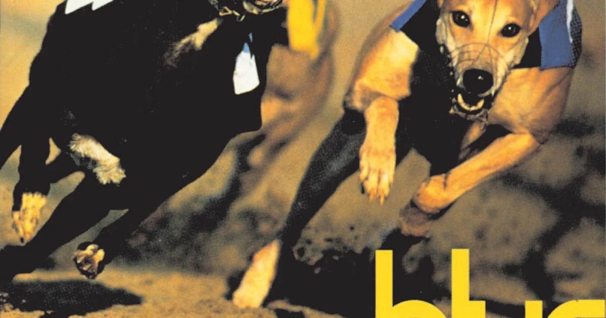 Header Banner Alex James (Blur)