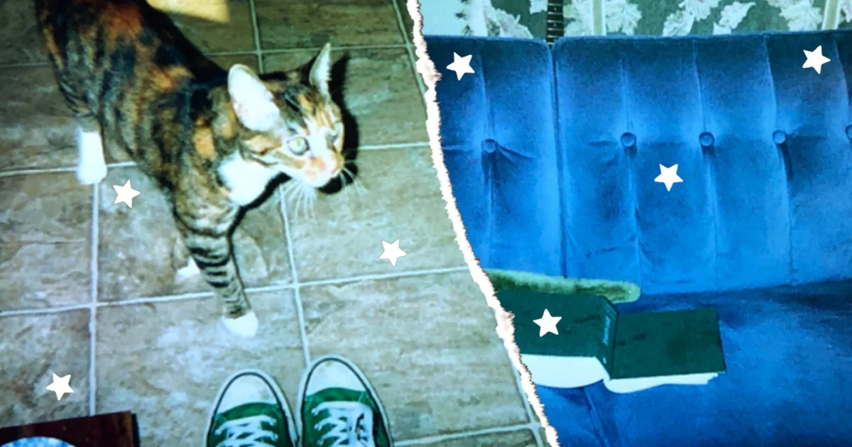 Header Banner Chase Petra