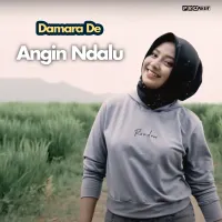 KDRT (Kadung Duwe Roso Tresno) - Damara De