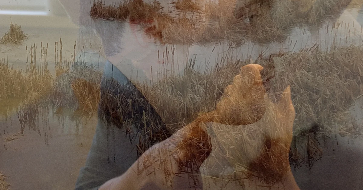 Header Banner Echos