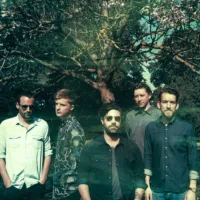 Mathletics - Foals