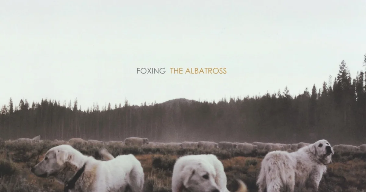 Header Banner Foxing