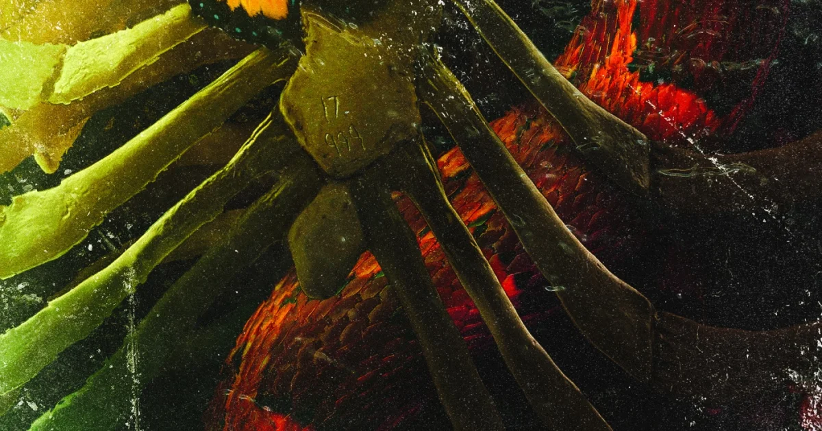 Header Banner Hal