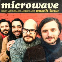 Georgia On My Mind - Microwave