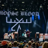 Moose Blood