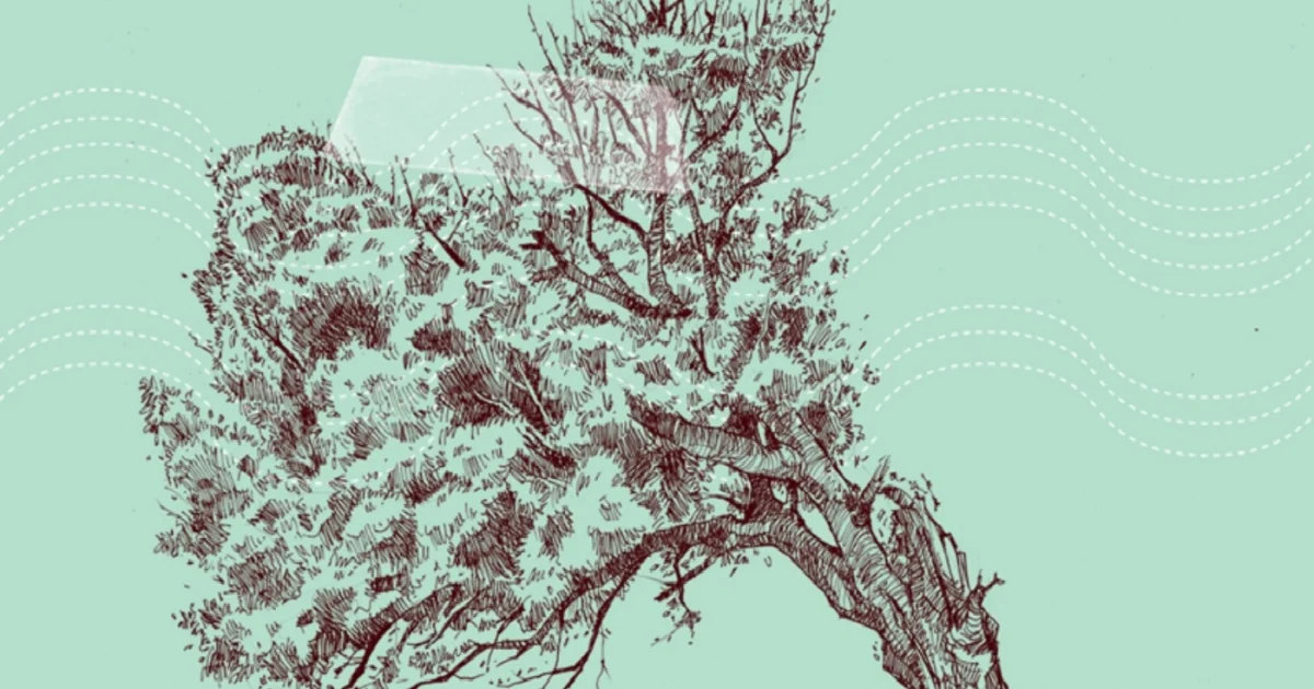 Header Banner Payung Teduh