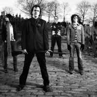 Ryan Adams & The Cardinals