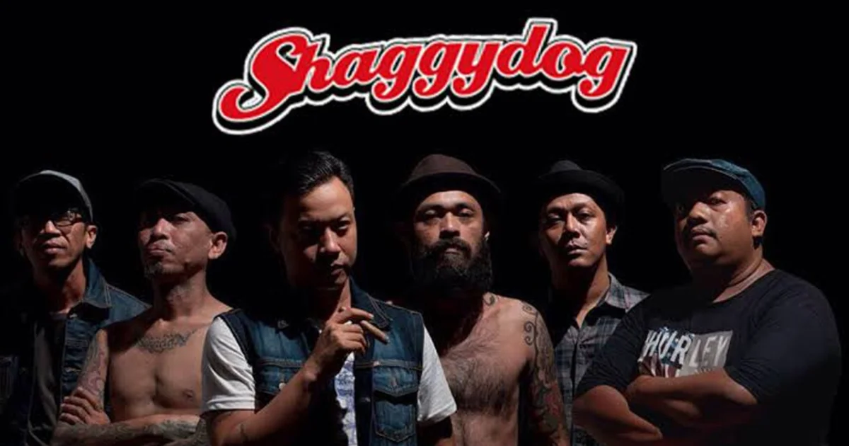 Header Banner Shaggydog