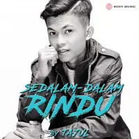 Insan Ku Sayang Kini Menghilang - Tajul