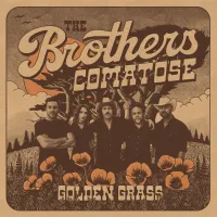 The Brothers Comatose