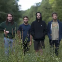 The Hotelier