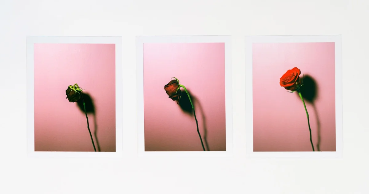 Header Banner With Confidence