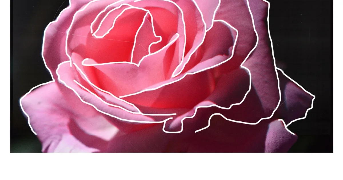 Header Banner Rosemary