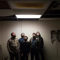 Bit by a Dead Bee, Pt. II - Foxing