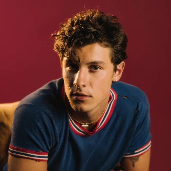 Like To Be You - Shawn Mendes