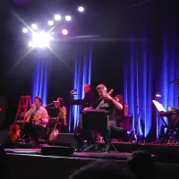 The Magnetic Fields