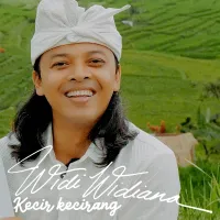 Widi Widiana