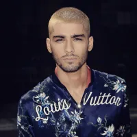 Windowsill - Zayn